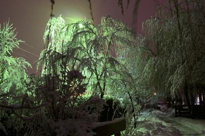 Прикрепленное изображение: DSC_0208_.jpg